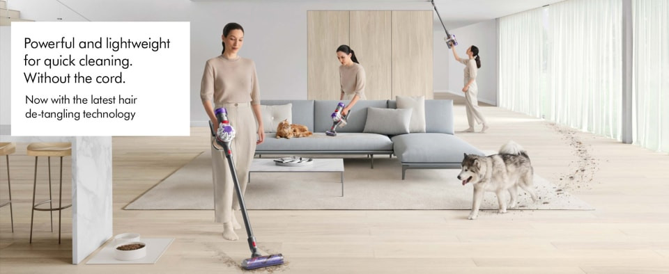 Dyson V8 Cordless Vacuum | Silver | New | Walmart (US)