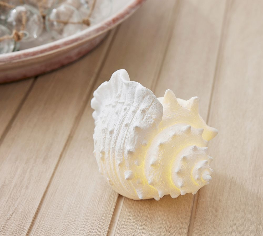 Lit Conch Shell | Pottery Barn (US)