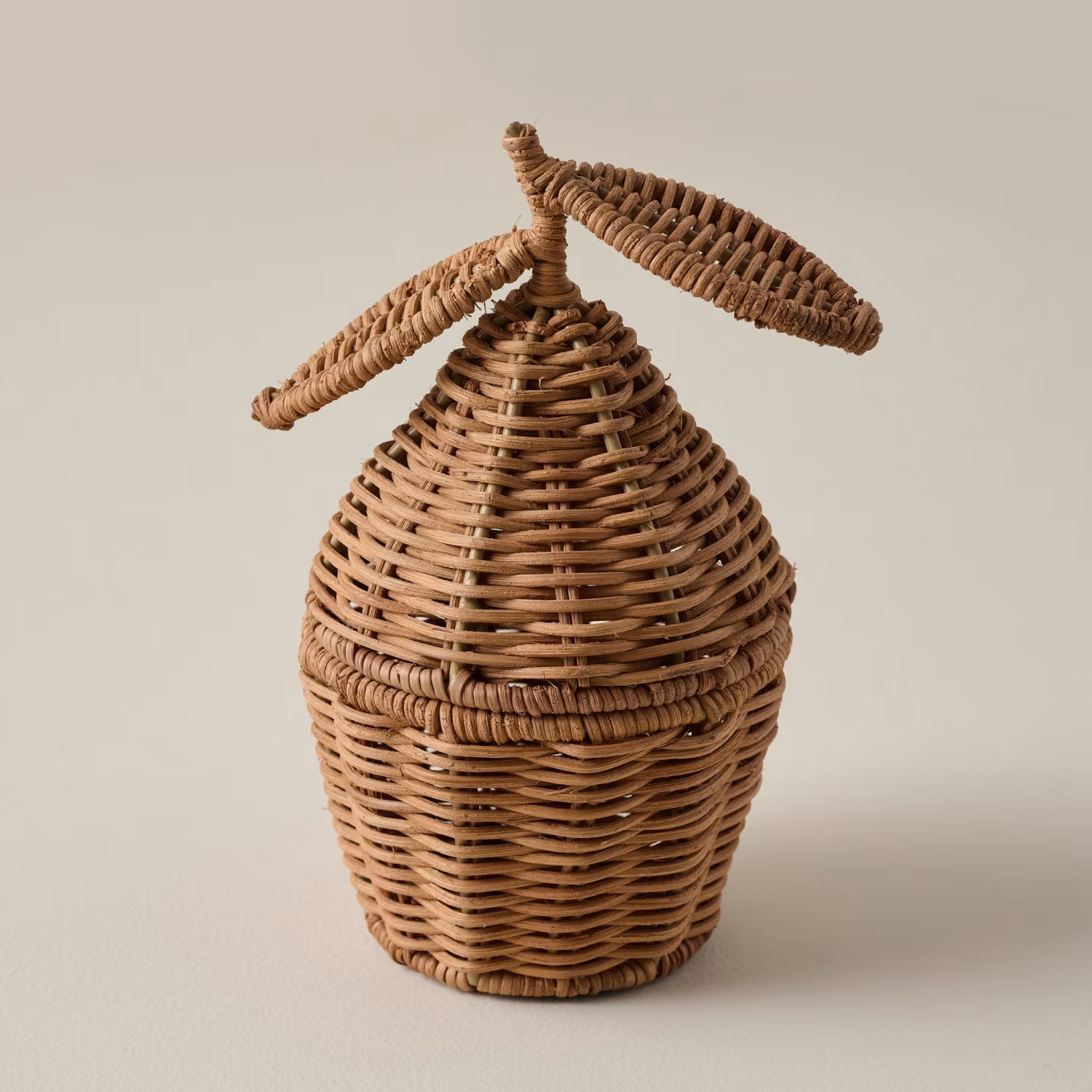 Woven Lemon Canister | Magnolia