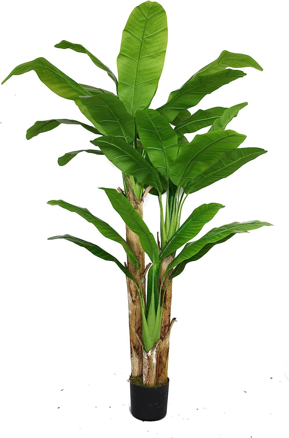 Vintage Home 72 Inch Tall Banana Tree with Real Touch Leaves | Amazon (US)