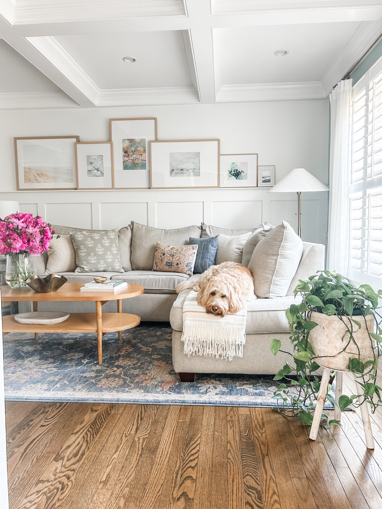 Lindsay Letters art prints are on sale!
Picture ledge gallery wall
Wall art
Abstract art
Living room wall decor
Living room furniture
Coffee table
Floor lamp
Pinch pleat curtains
Living room rug


#LTKSaleAlert #LTKHome #LTKStyleTip