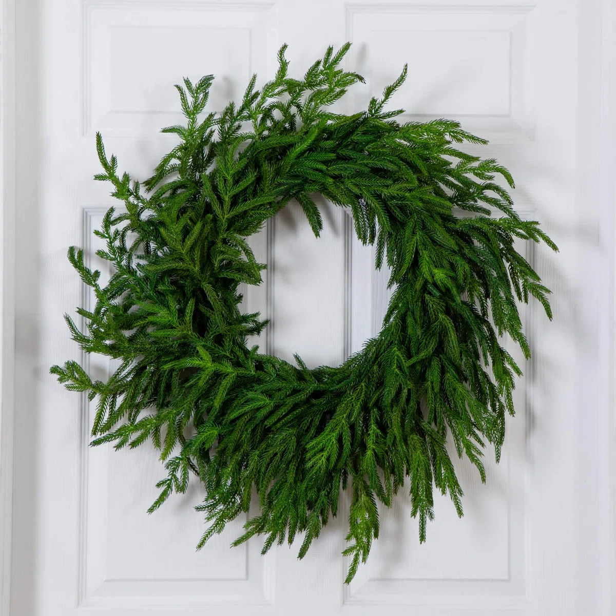 Artificial Real Touch Norfolk Island Pine Wreath With 35 Warm White LED Lights And Natural Look | Wayfair North America