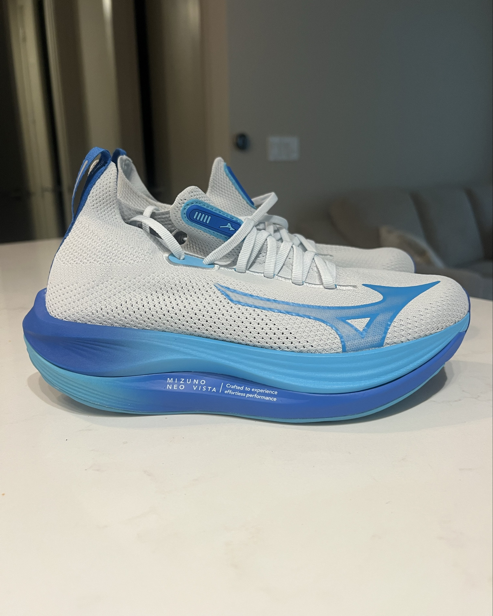 Carbon plate- Mizzuno Neo Vistas 

#LTKFitness #LTKActive