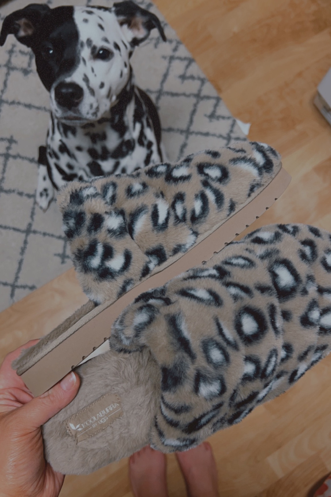 Comfortable UGG slippers 🐆🤎🤍

#LTKstyletip #LTKMostLoved #LTKGiftGuide