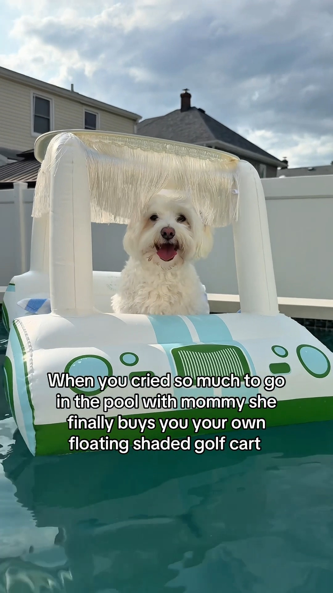 This is such a fantastic idea and he loves it! Dog moms get it 🐶🛟🥰 

Dog pool float ideas 

#doglife
#dogs

#LTKSeasonal