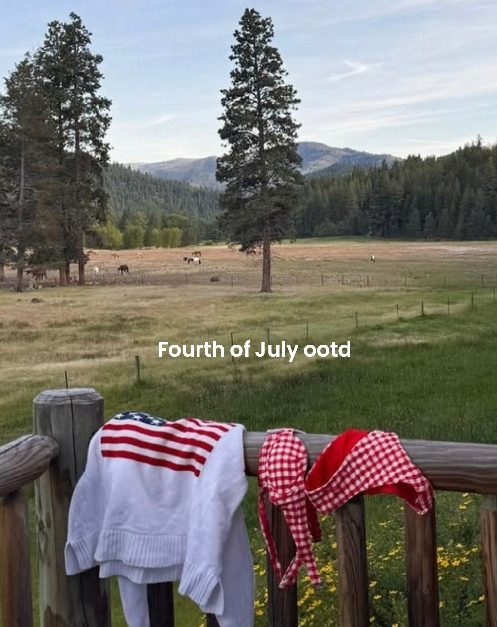 Your Fourth of July lookbook 🇺🇸

#LTKgrwm #LTKootd #LTKdayinmylife