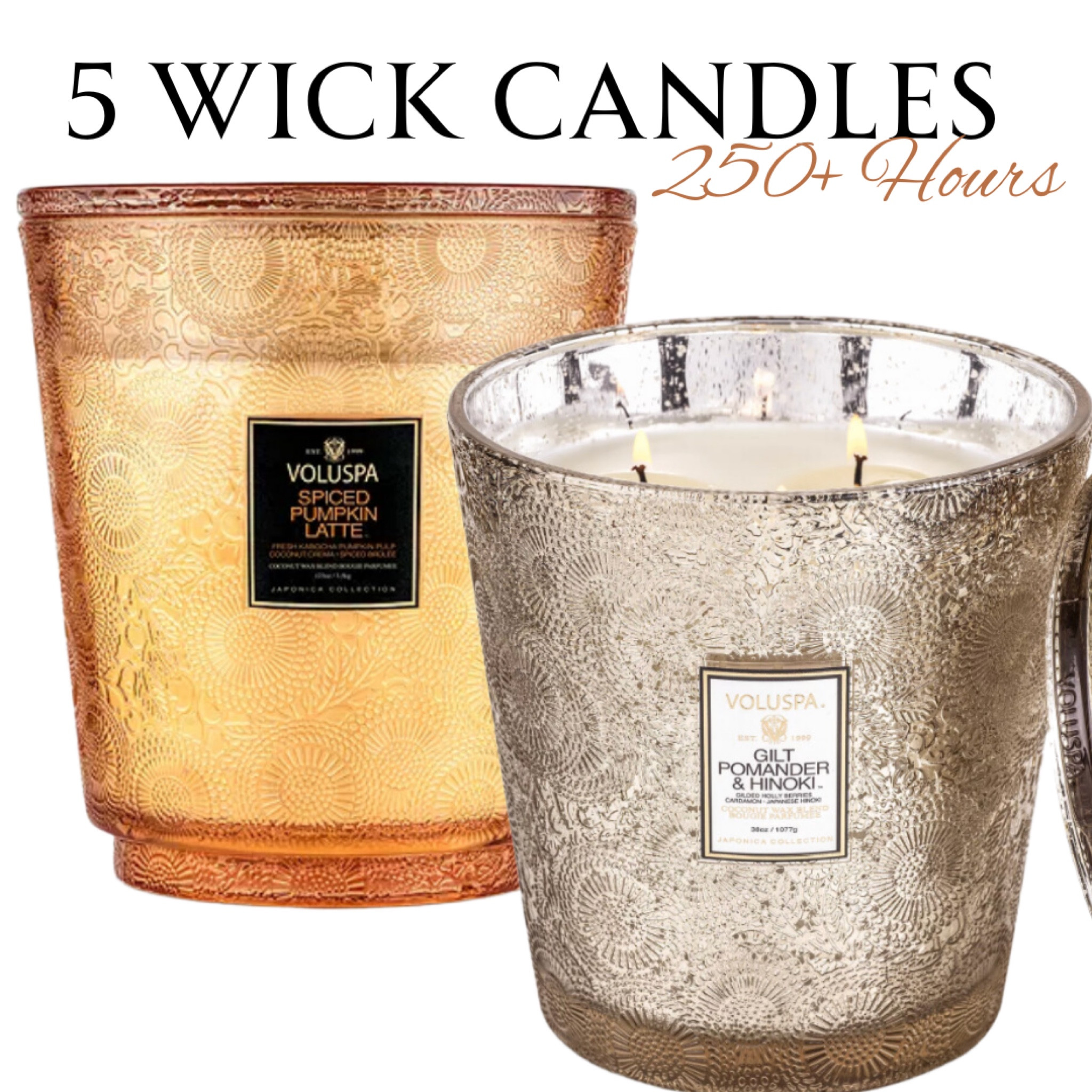 VALUSPA
FALL 5 Wick Candles
250+ Hours burning time!

#LTKhome #LTKGiftGuide #LTKSeasonal