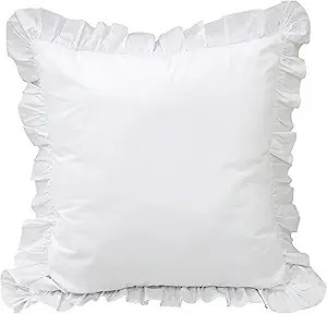 Queen's House 2-Piece White Euro Shams | Amazon (US)