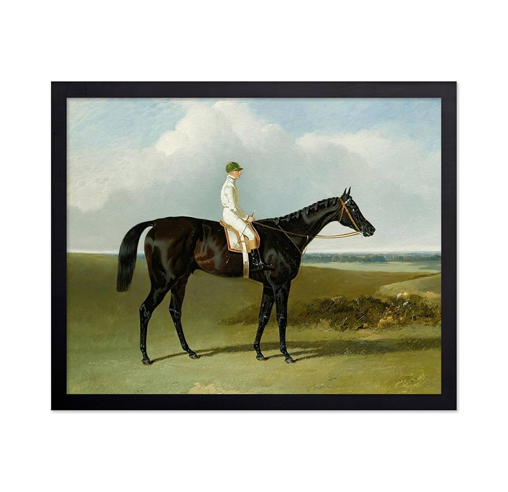Monem Art Mr O’Brien’S Dark Bay Racehorse Jonathan Wild With Jockey T. Ryder Up Poster - Eque... | Amazon (US)