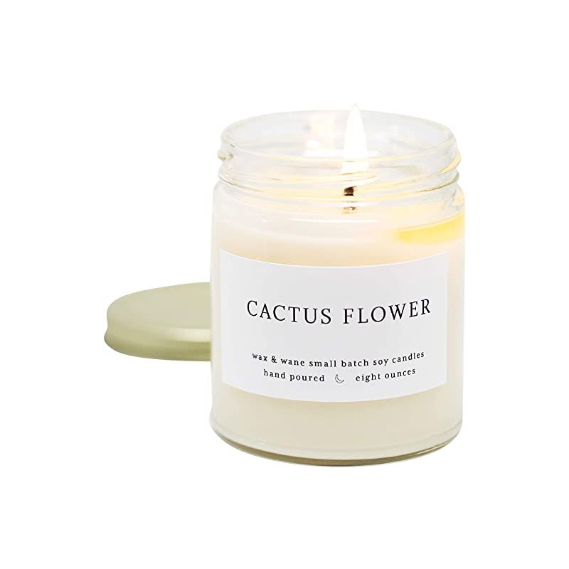 Wax & Wane Cactus Flower Modern Candle- 8 Oz Scented Candle For Men And Women For Home, Bedroom, ... | Amazon (US)