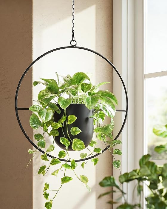 Bamworld Black Hanging Planters for Indoor Outdoor Plants Metal Hanging Pot | Amazon (US)