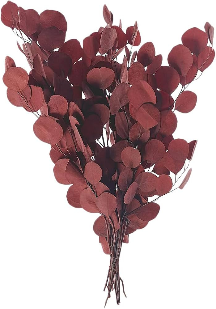 Happyyami Artificial Dried Burgundy Eucalyptus Stems - 15 Inch Faux Eucalyptus Leaves Bouquet - P... | Amazon (US)