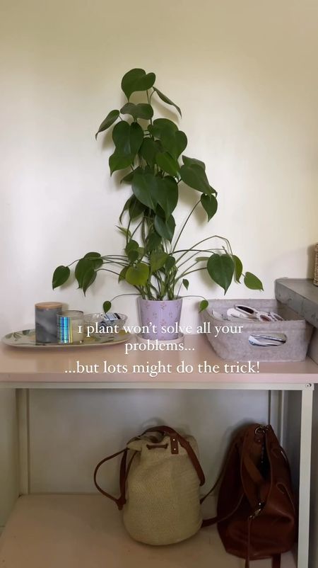 I’m a proud plant lady to lots of plants



#LTKSeasonal #LTKHome #LTKStyleTip