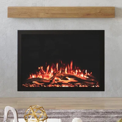 Highmark Traditional Electric Fireplace Insert Heater, WiFi, Google & Alexa Compatible, Logs & Crystals | Wayfair North America