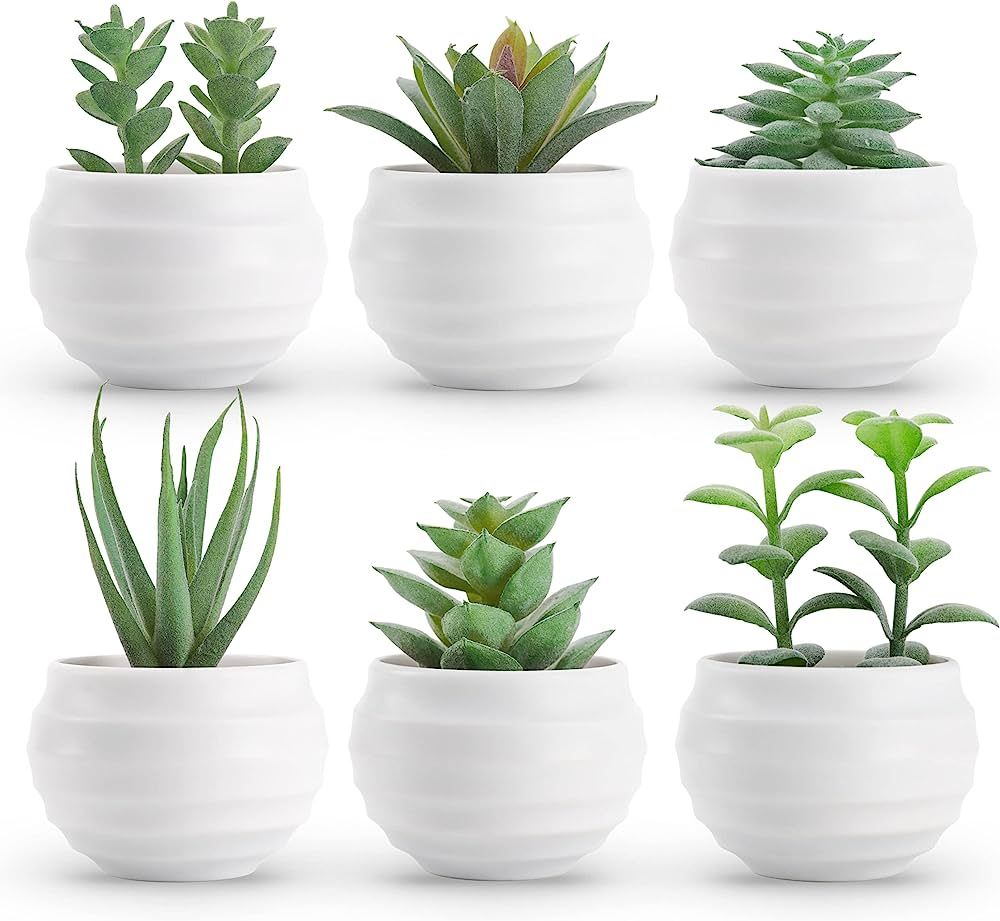Der Rose Set of 6 Succulents Plants Artificial in Pots Small Fake Plants for Bedroom Aesthetic Li... | Amazon (US)