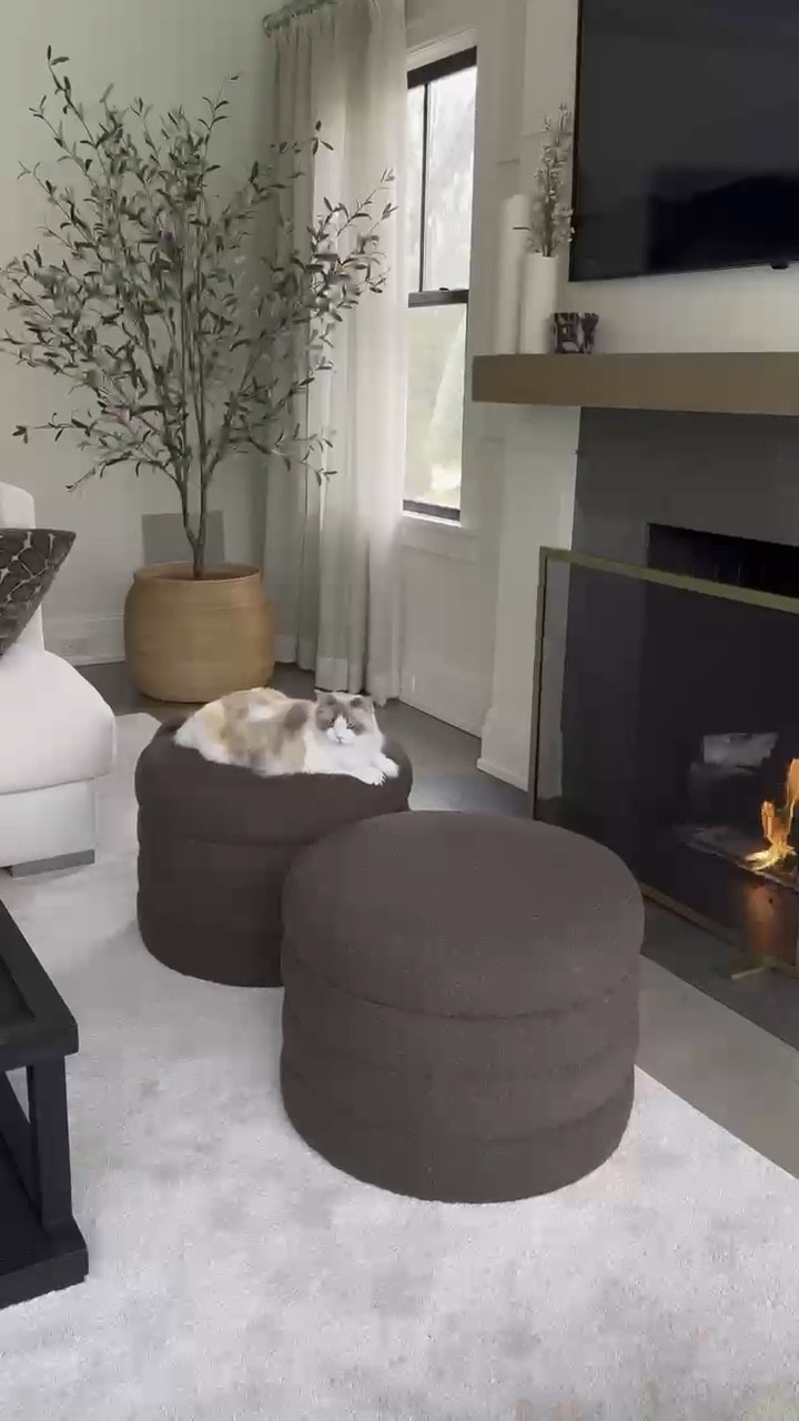 Which ottomans look better? Brown or green 

#LTKVideo #LTKfindsunder100