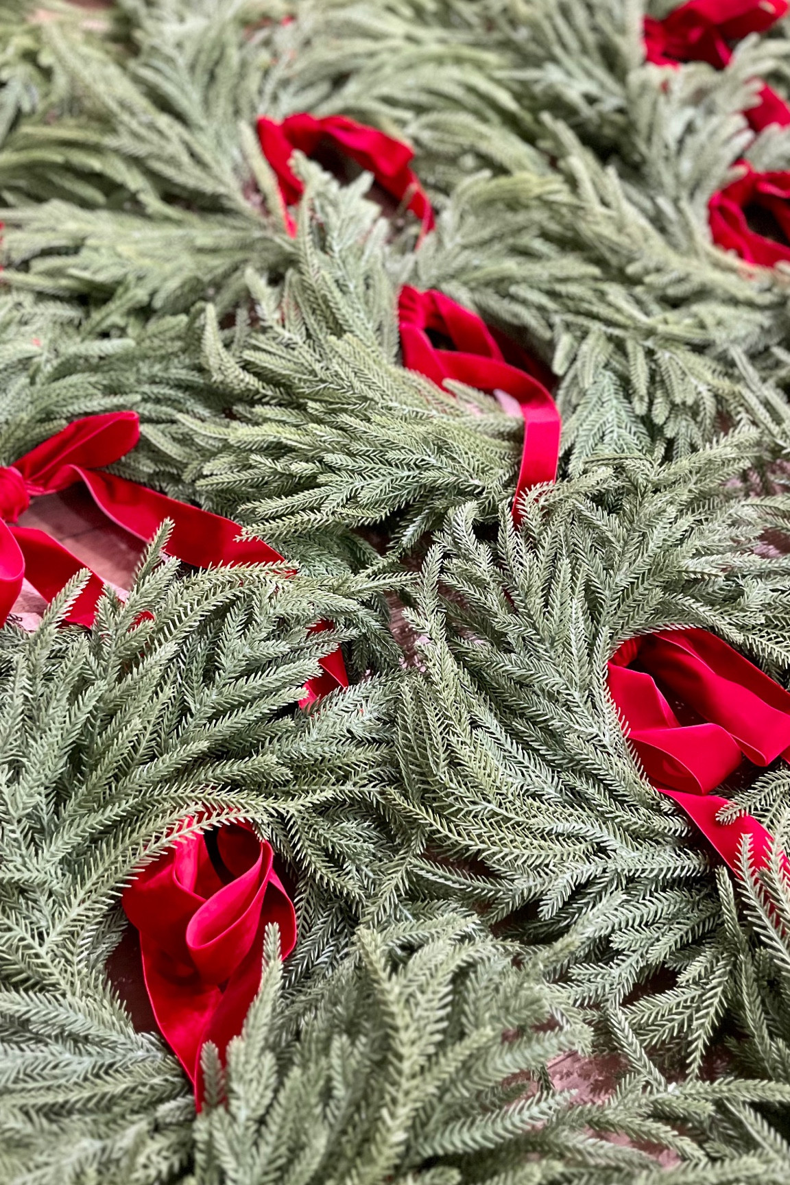 Wreaths and Ribbon 

Wreaths, ribbons, bows, holiday decor, Christmas 

#LTKHoliday #LTKHome #LTKSeasonal