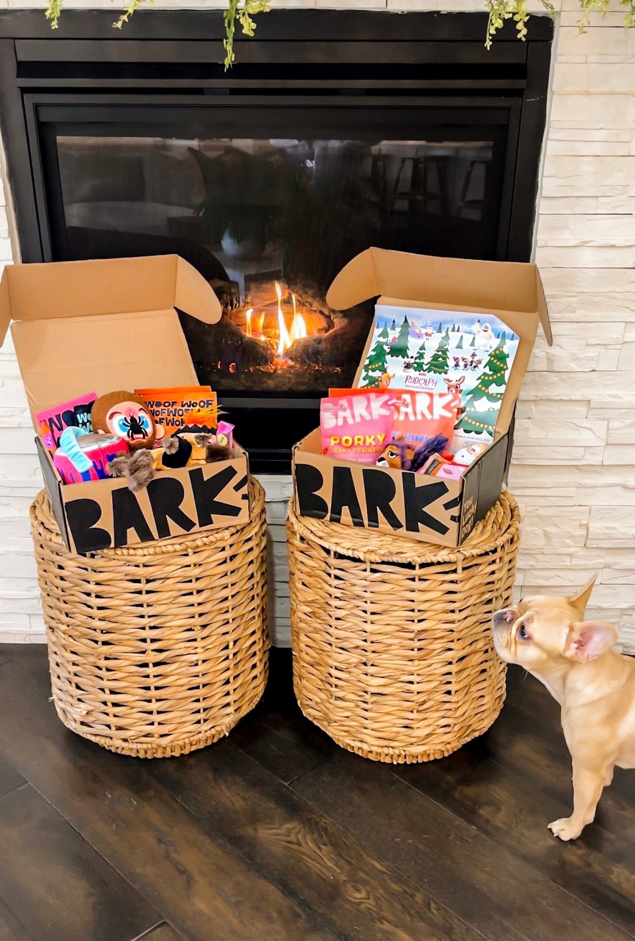 My dogs have no idea what month it is, but they do know when their BarkBox shows up 😆🐾 Each box has a cute new theme + goodies picked just for their size and personality. It’s basically the highlight of their month — and mine! Get your subscription today! #barkpartner #ad @bark
