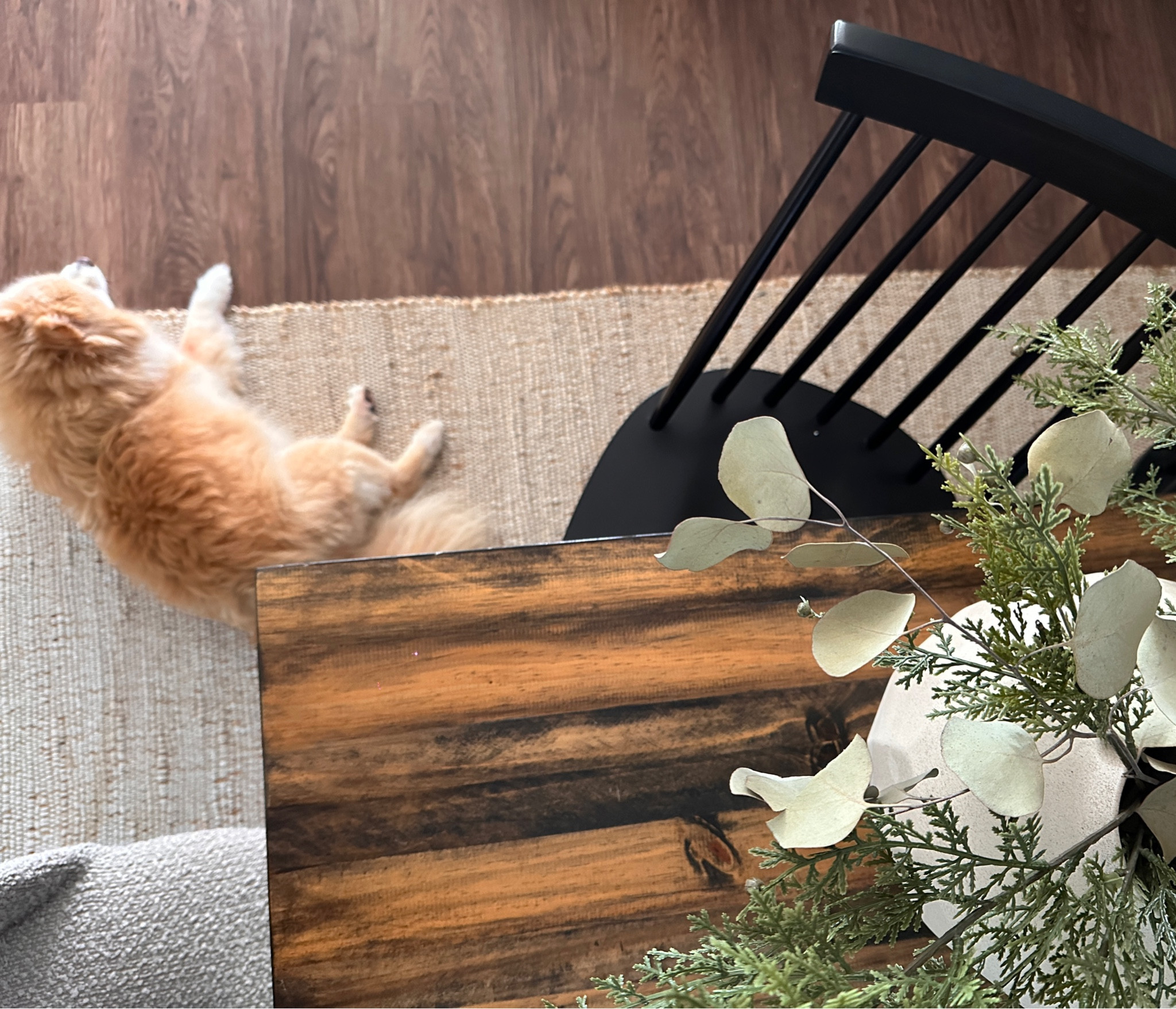 Dining room views
#wayfair #target #home

#LTKFind #LTKhome #LTKsalealert