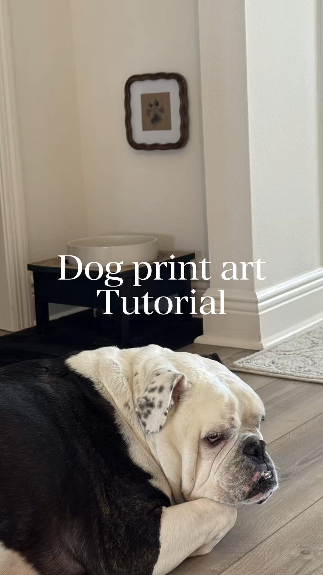 Turning my pup’s paw into wall art was the easiest and cutest DIY ever. 🐾✨ I used a cute wood frame to give his feeding corner some warmth and a little personal touch, and I add d a new bowl that I can put in the dishwasher (that doesn’t rust). It’s such a fun way to celebrate our furry family member and we can even have it after he is gone. Tip- write your dogs name and date on the back of the paper or frame.
Linking all the easy DIY details and the exact frame I used here!
#dog #DIY

#LTKPets #LTKHome