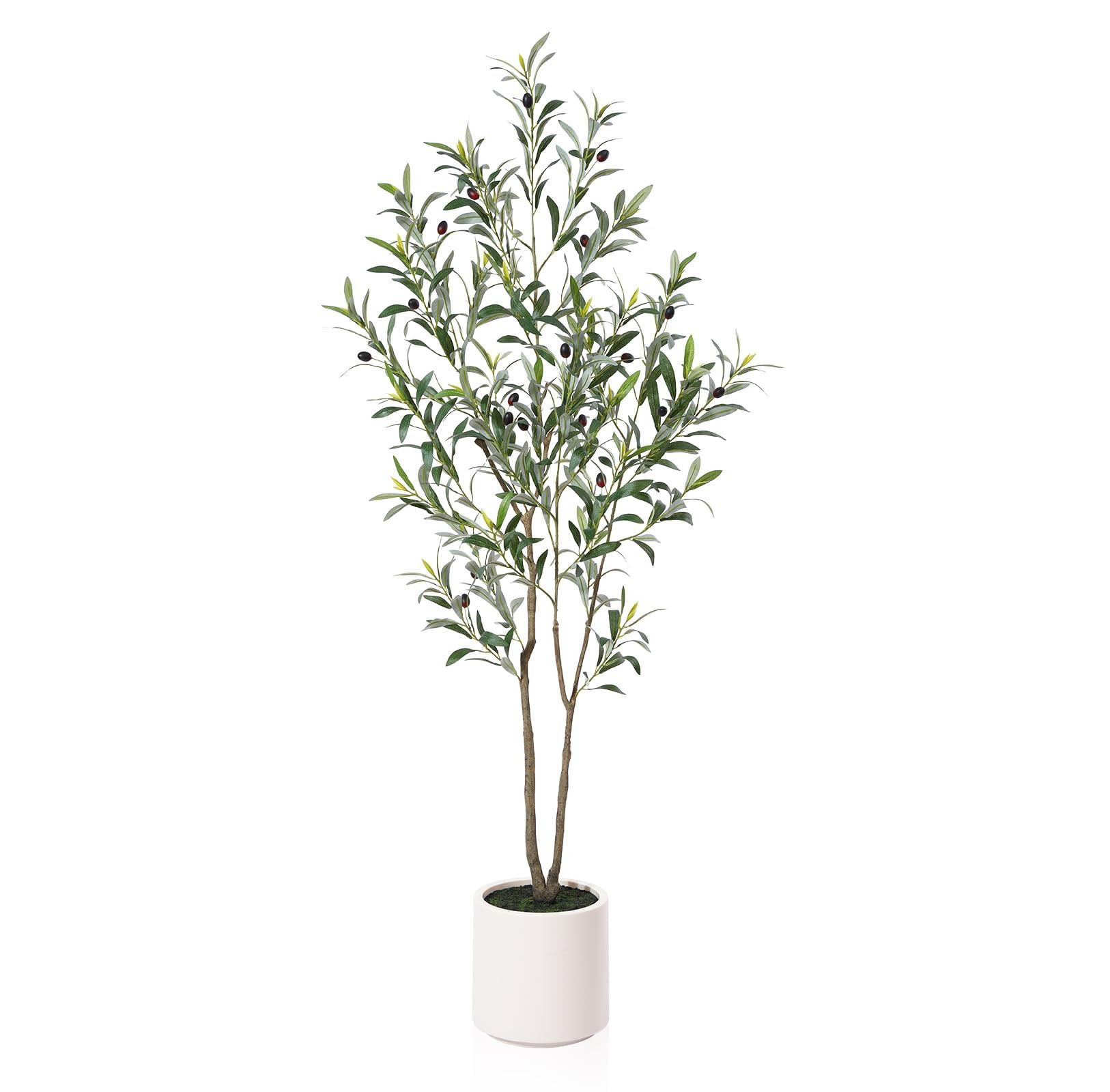 LOMANTO Artificial Olive Trees, 5 ft Tall Fake Olive Trees for Indoor, Faux Olive Silk Tree, Larg... | Amazon (US)