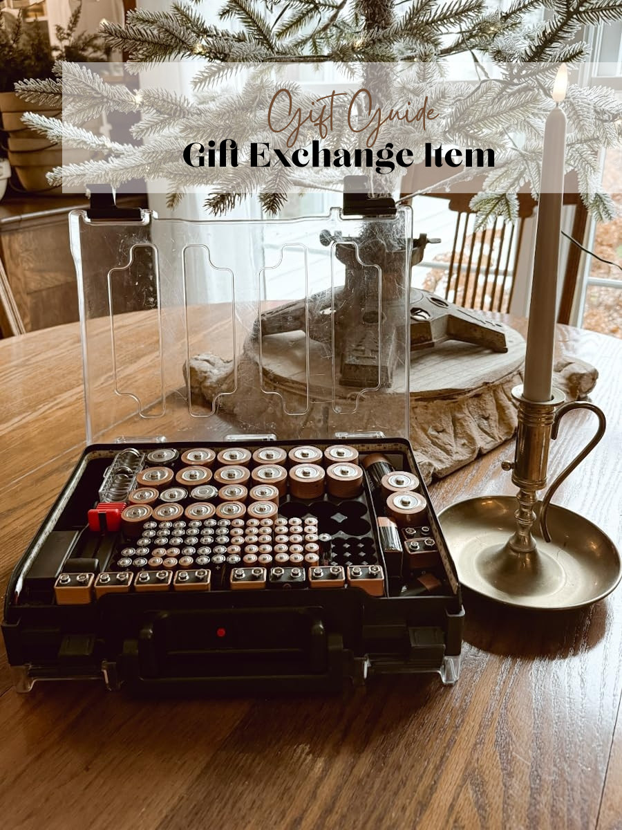 We love our battery organizational case, and it makes an excellent gift exchange or white elephant item.  

 #LTKGiftGuide #LTKHoliday #LTKSaleAlert