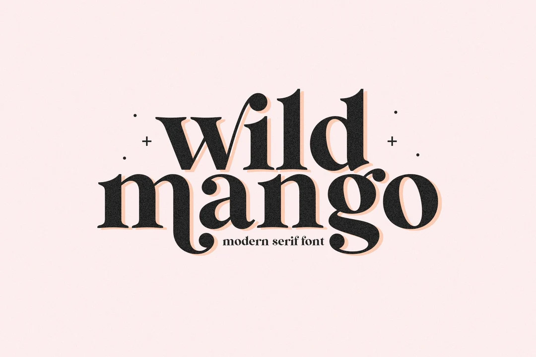 Wild Mango Font - Serif Font, Modern Font, Boho Font, Branding Font, Swash Font, Fonts for Cricut... | Etsy (US)