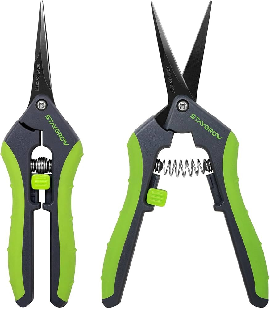 2pcs 6.5" Pruning Shears for Gardening, Ultra Sharp Garden Scissors for Precise Cuts, Stainless S... | Amazon (US)