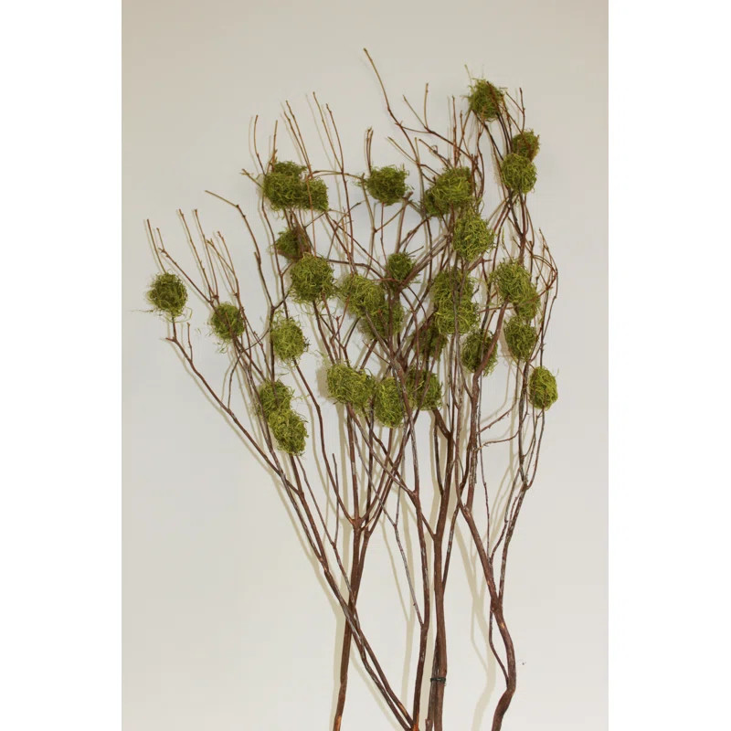 Moss Branch | Wayfair North America