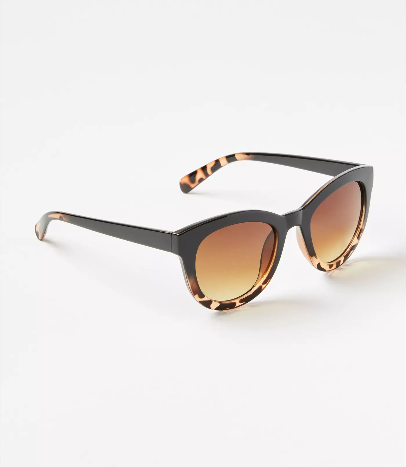 Square Sunglasses | LOFT