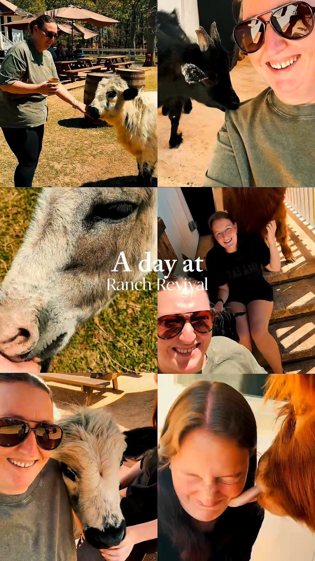 POV: you spent your last day of spring break loving on highland cows, tiny goats, and a miniature donkey 🐮🐐💛
10/10 would do again

#LTKdayinmylife