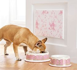 LoveShackFancy Pet Bowl | Pottery Barn (US)