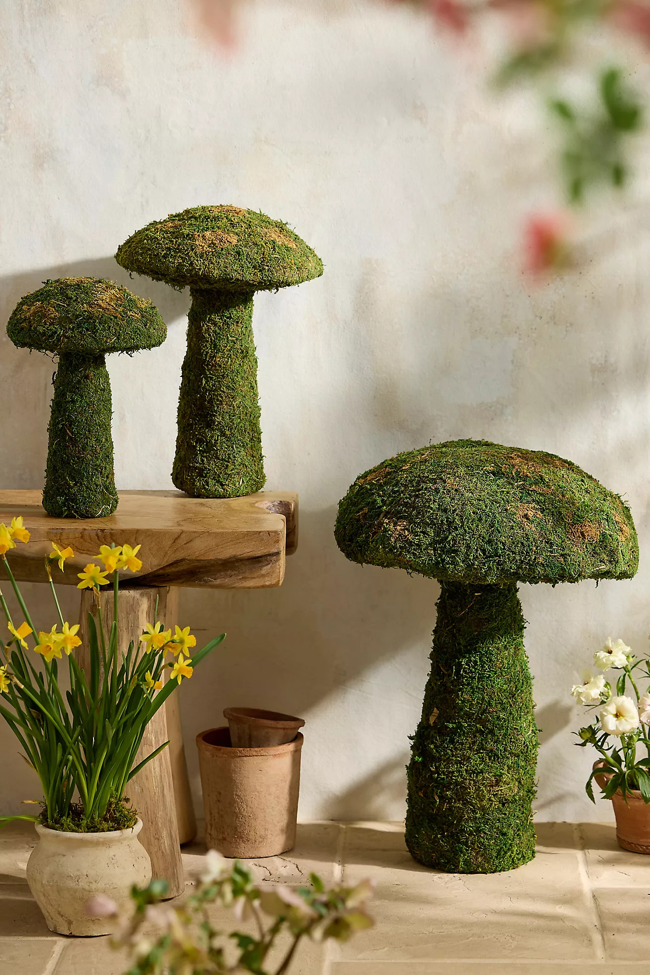 Preserved Moss Mushroom | Anthropologie (US)