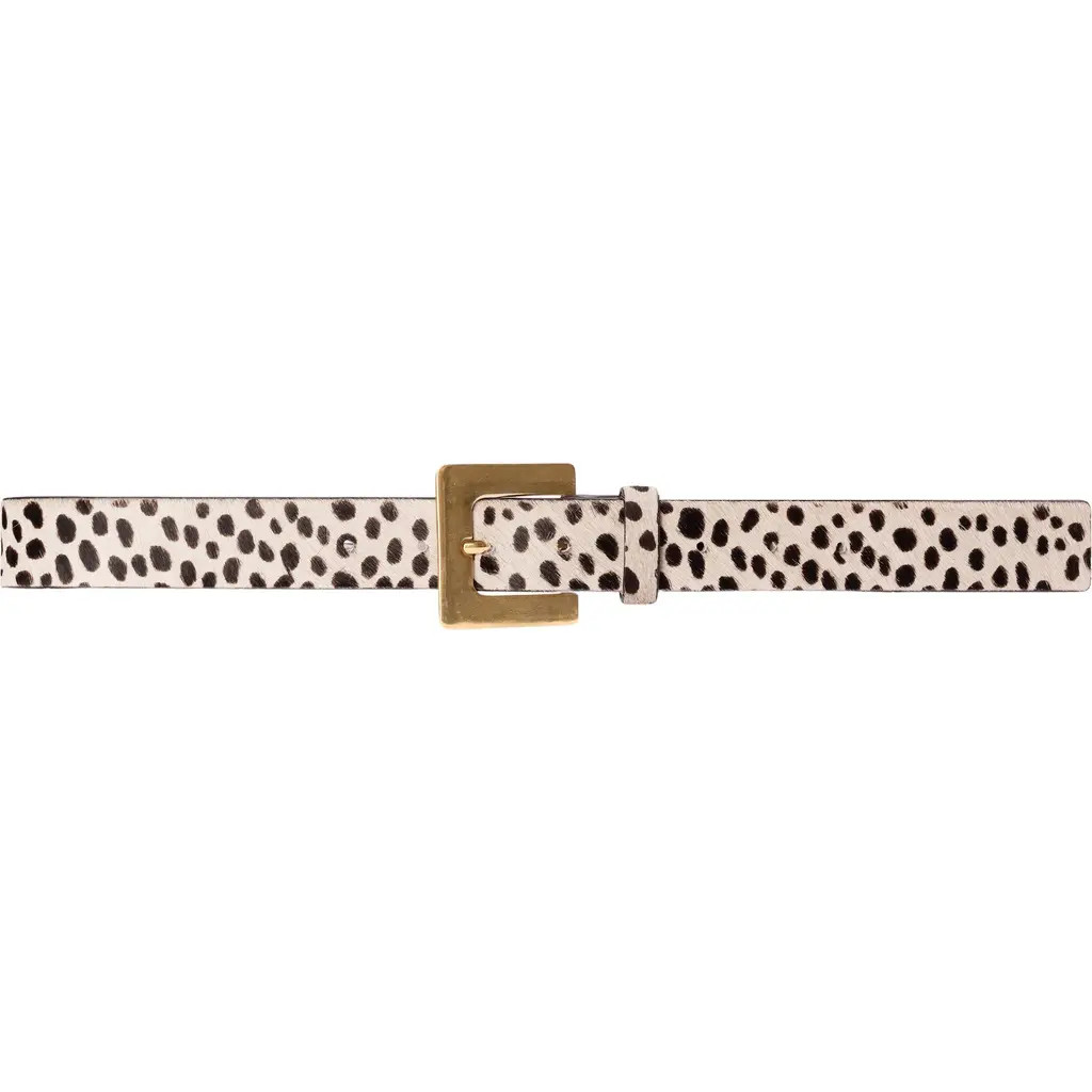 BLACK SUEDE STUDIO NOIR BELT in Dotted Cheetah at Nordstrom, Size Large | Nordstrom