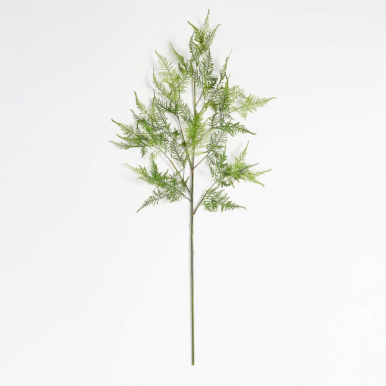 Faux Asparagus Fern Stem 50" | Crate & Barrel | Crate & Barrel