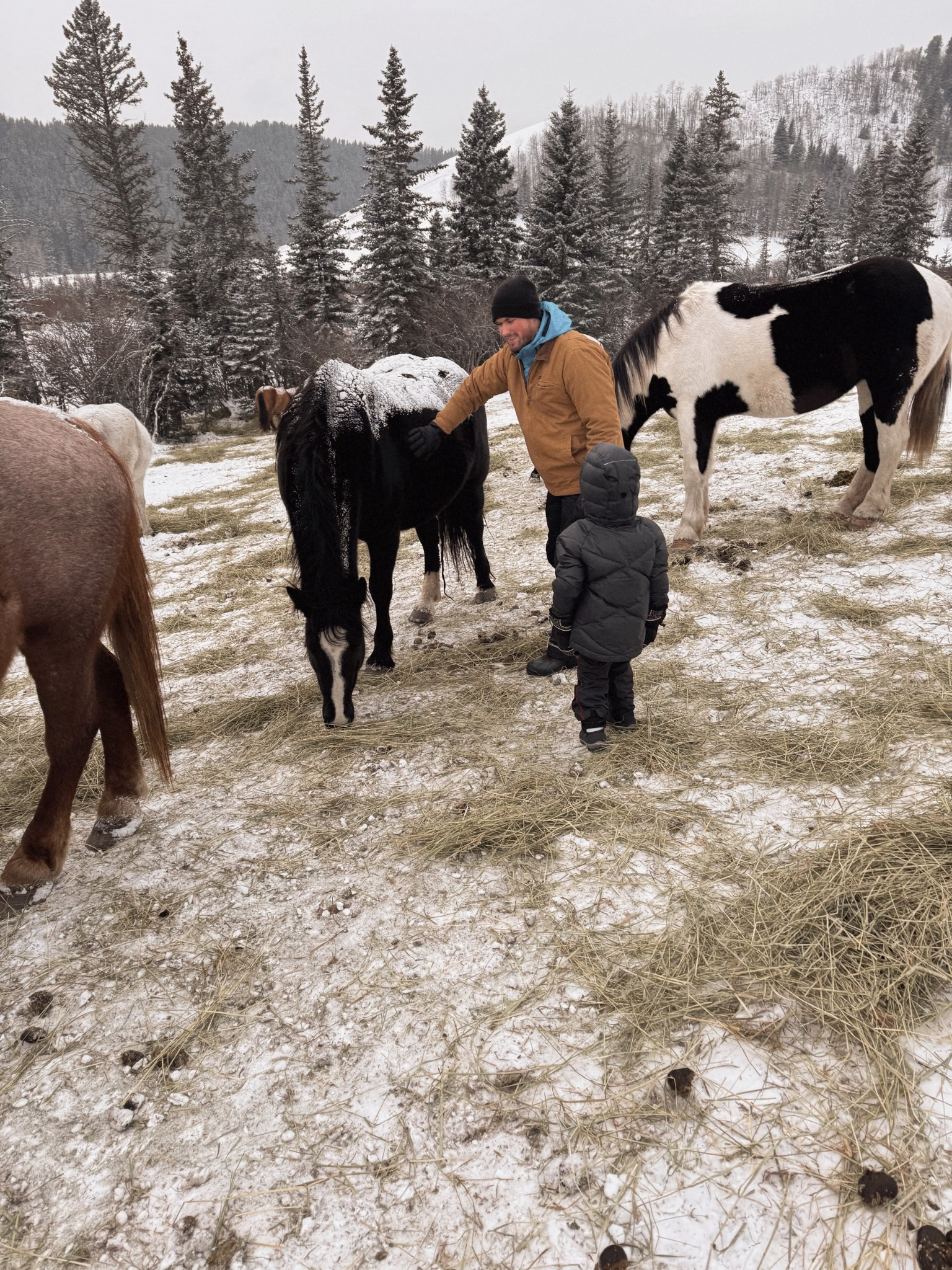 Stopped mid sleigh ride to pet some horsies ❄️

#LTKHoliday