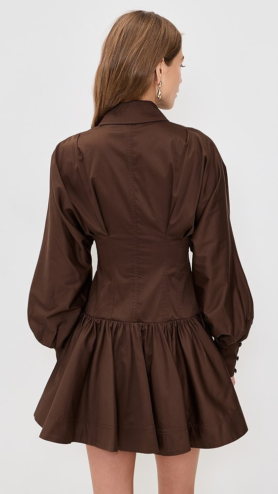 Alexa Long Sleeve Mini Dress | Shopbop