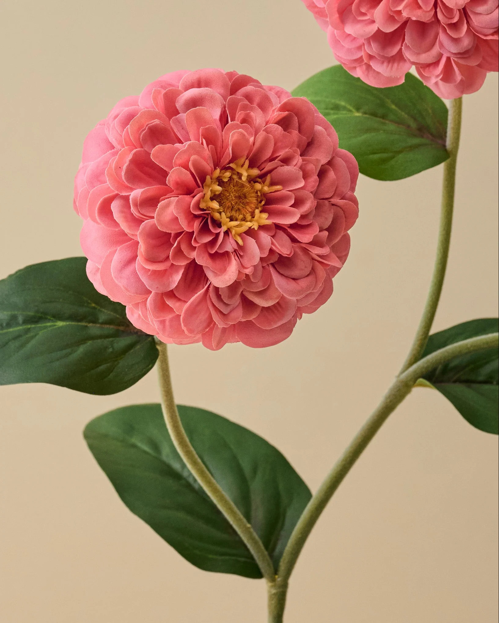 Real Touch Zinnia Stem | Magnolia