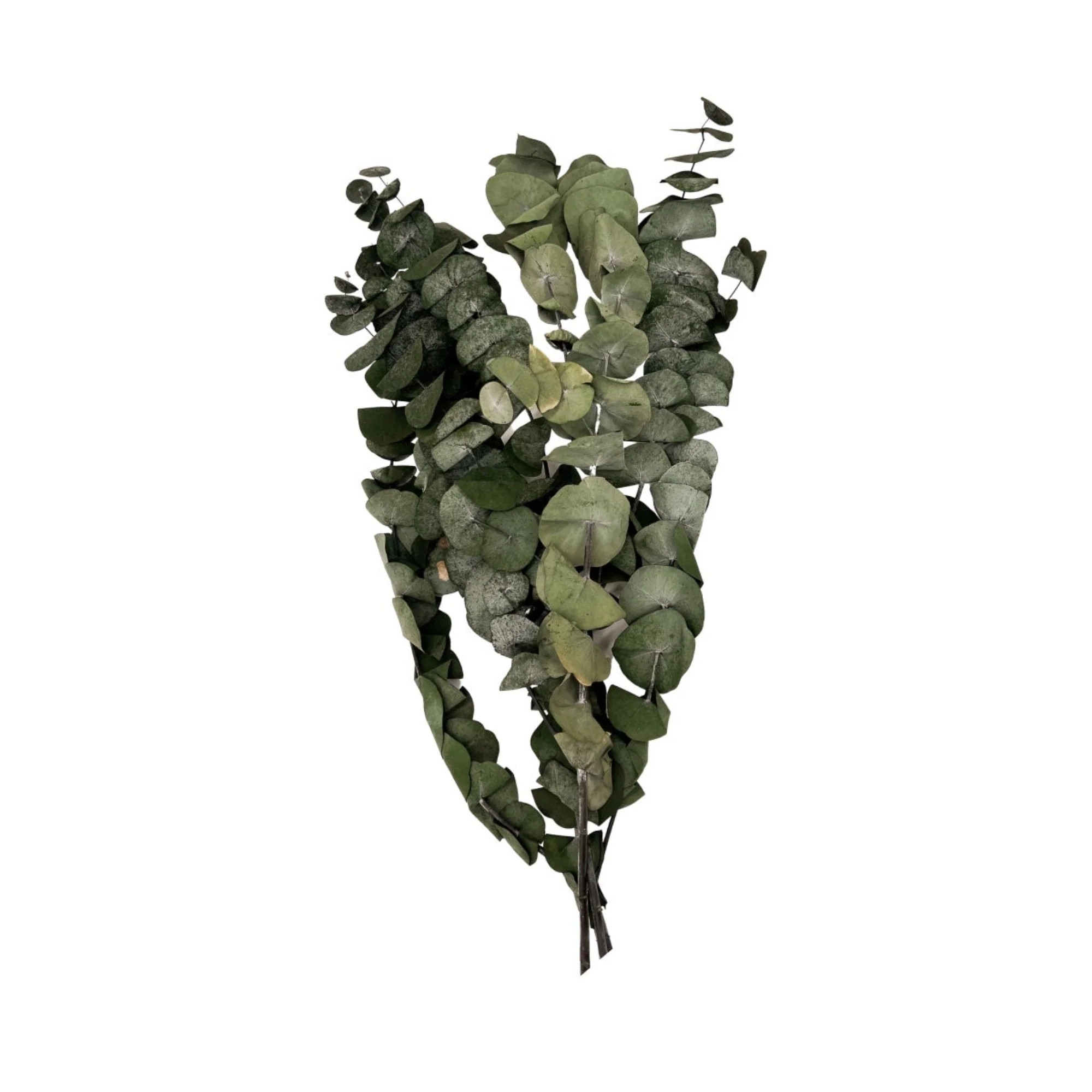 StyleMeGHD | StyleMeGHD