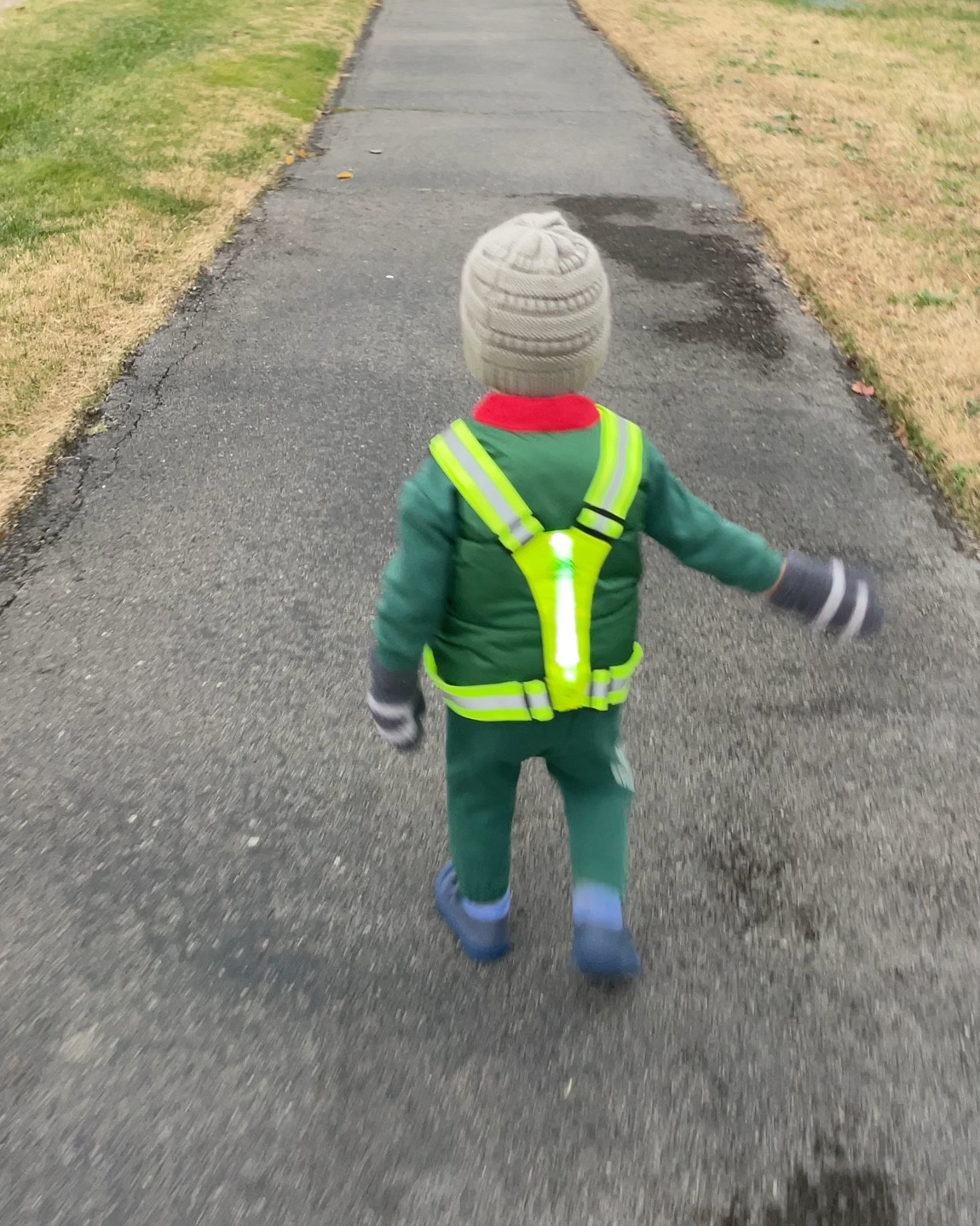Now that he’s mobile, I bought this reflective vest with LED flashers on the front and back for extra peace of mind when we go for walks around the neighborhood or at the park. I think it’ll be something great for him to wear when he’s riding his little trike too! Fully adjustable straps so it fits both adults and toddlers!

#LTKActive #LTKmomlife #LTKKids