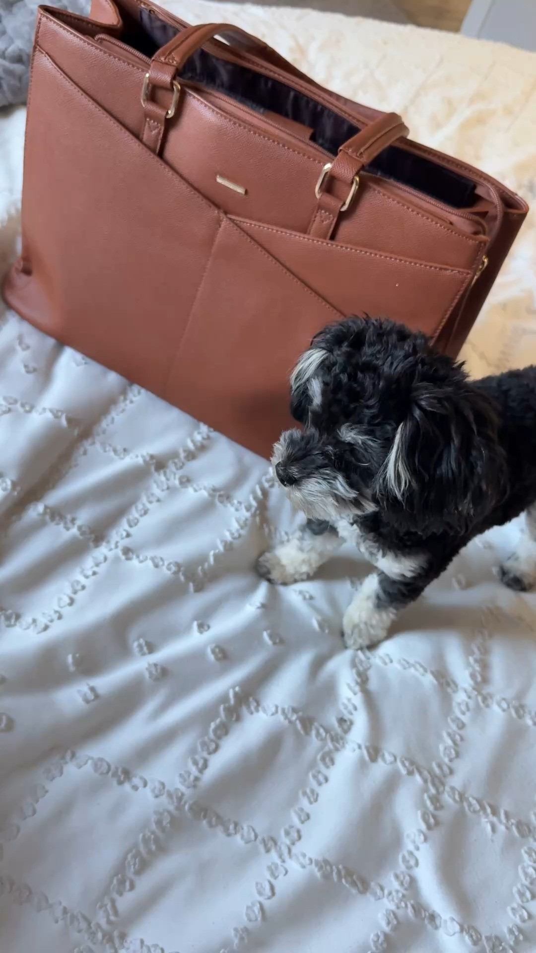 This bag is SO good you guys!! 

 #LTKSaleAlert #LTKFindsUnder50 #LTKStyleTip