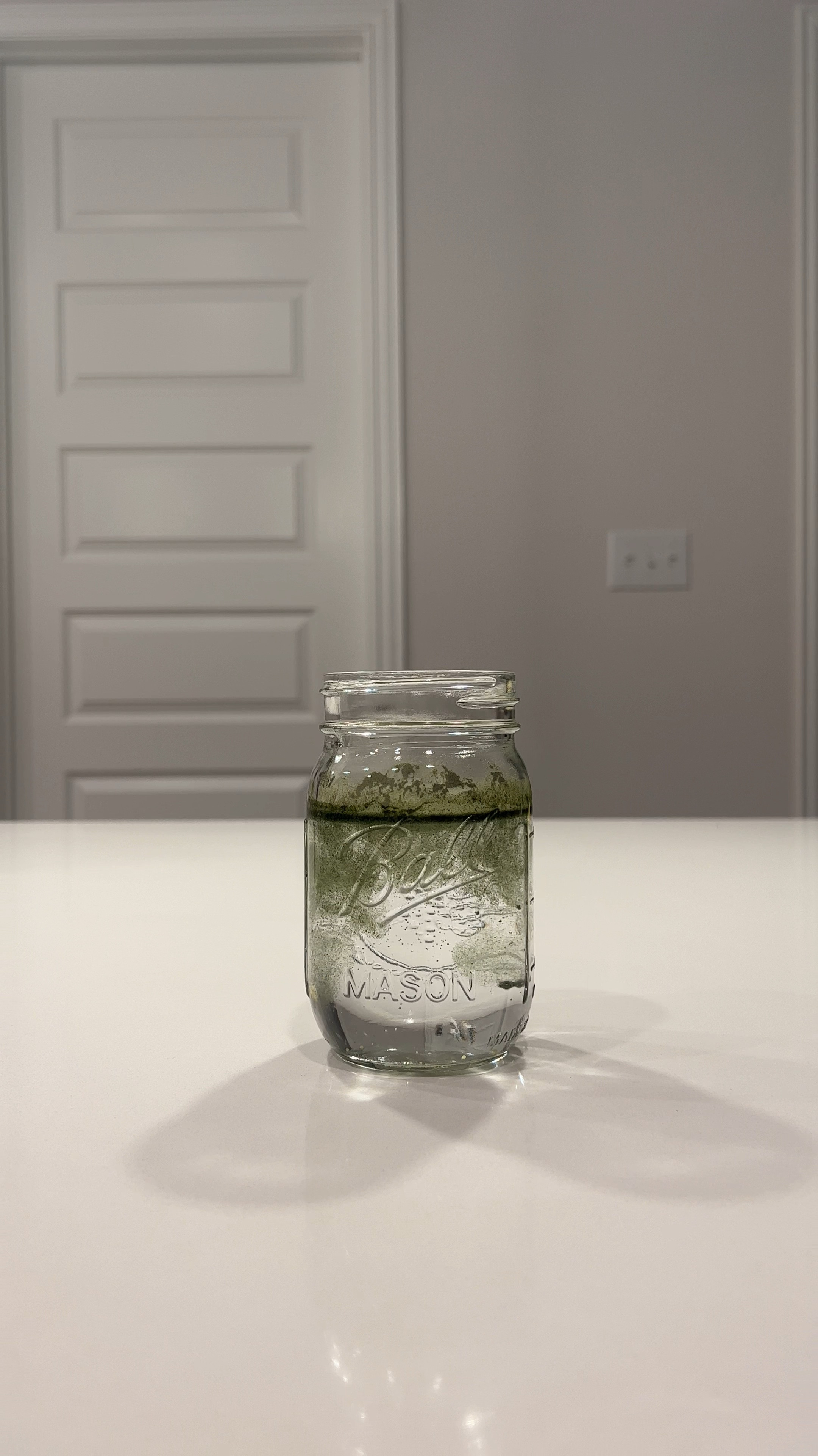 Greens, greens supplement, morning routine. 

#LTKFitness #LTKFind