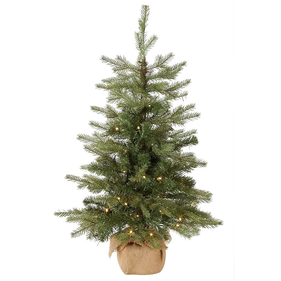 National Tree Company Pre-Lit 'Feel Real' Artificial Mini Christmas Tree, Green, Nordic Spruce, W... | Amazon (US)