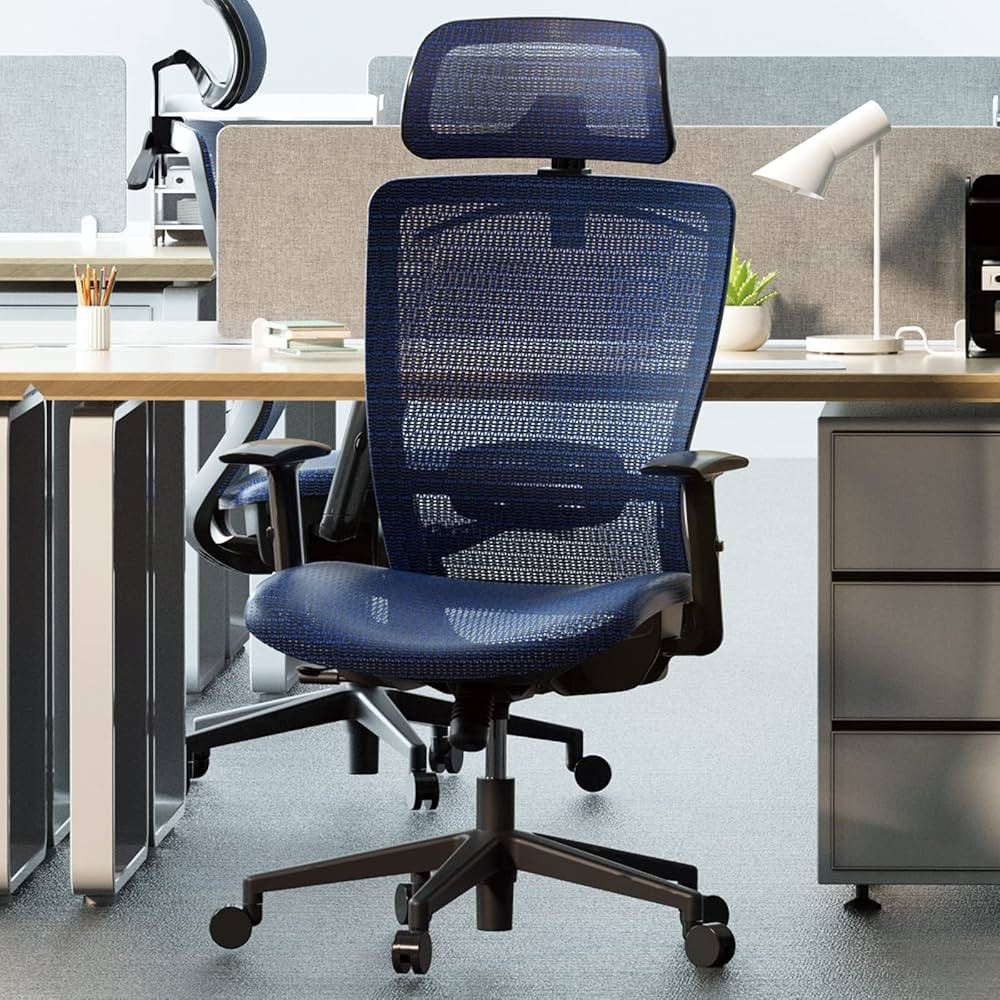 FLEXISPOT Ergonomic Office Chair Height Adjustable Computer Chair Home Office Desk Chairs with Wh... | Amazon (US)