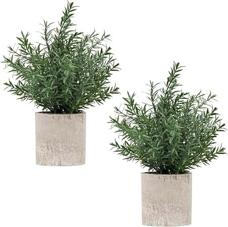 Coferset 2 Pack Small Fake Plants Rosemary Potted Artificial Plants for Shelf Desk Home Bathroom Farmhouse Room Coffee Table Decor (Green) | Amazon (US)