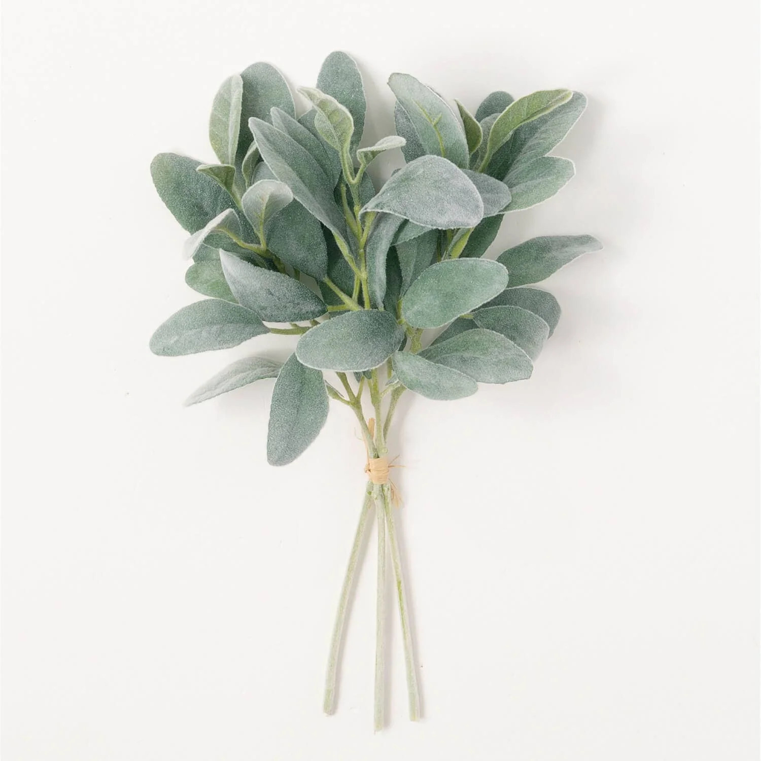 14" Lambs Ear Bundle | Linen & Clove