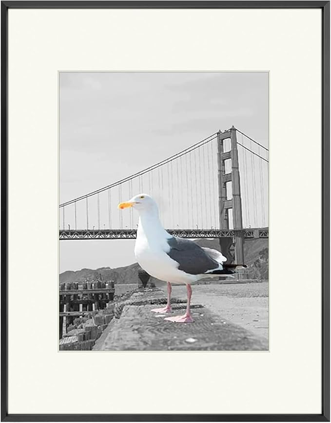 Frametory, 16x20 Aluminum Photo Frame with Ivory Color Mat for 11x14 Picture & Real Glass, Metal ... | Amazon (US)