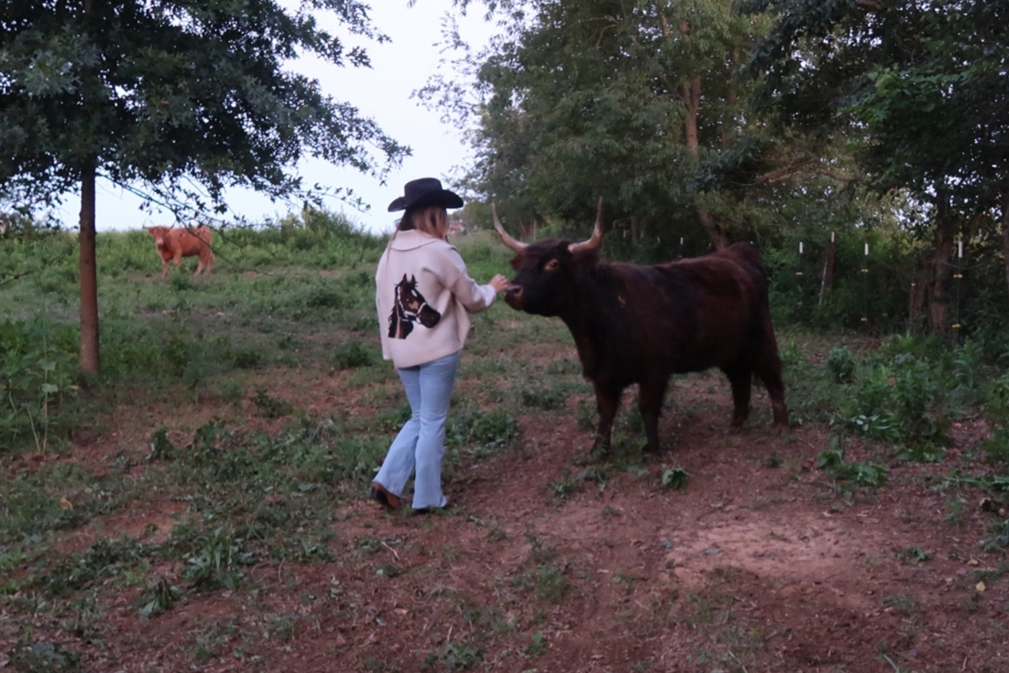 @Wrangler @gigipip @VICI @Tecovas

#LTKgrwm #LTKootd #LTKdayinmylife