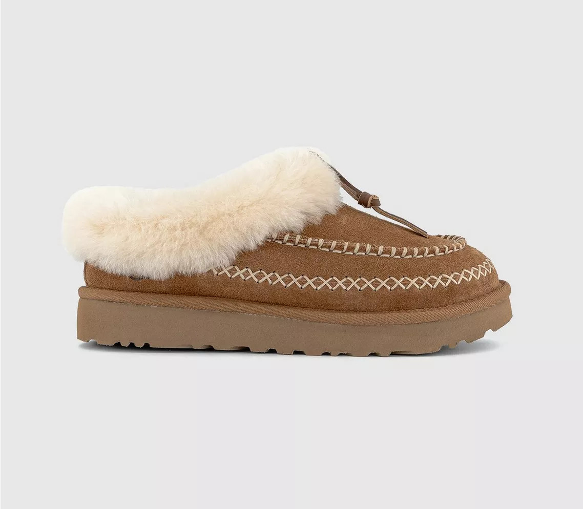 Tasman Alpine Slippers | Office Shoes (UK)