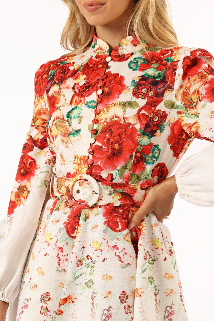 Pipps Long Sleeve Mini Dress - Multi | Petal & Pup (US)